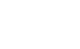 DNS logo